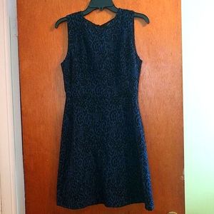 Zara blue wool velvet floral printed dress